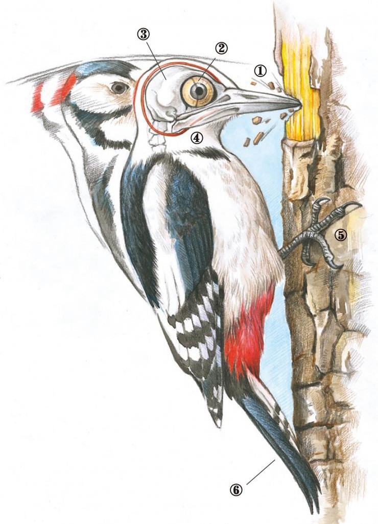 1514441847131266.jpg 微信图片_20171228105256.jpg